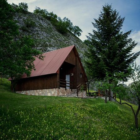 Отель Detached House Milivoje Poscenje Экстерьер фото