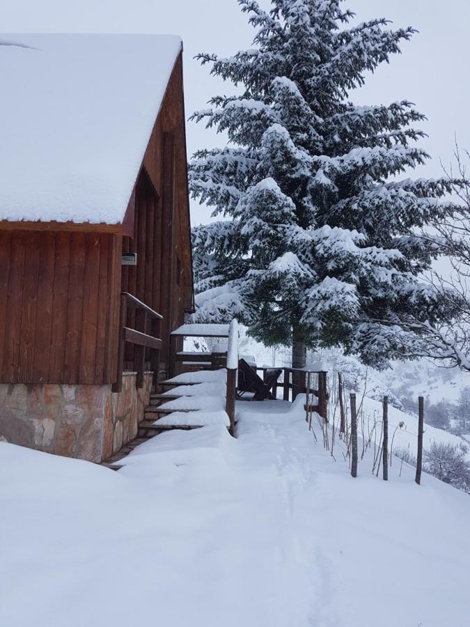 Отель Detached House Milivoje Poscenje Экстерьер фото