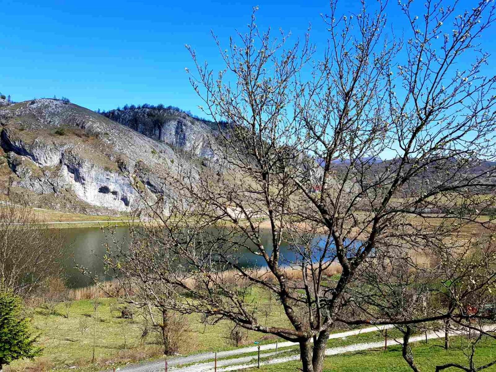 Отель Detached House Milivoje Poscenje Экстерьер фото