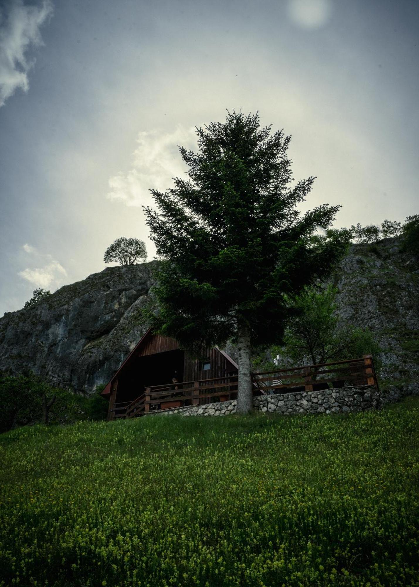 Отель Detached House Milivoje Poscenje Экстерьер фото