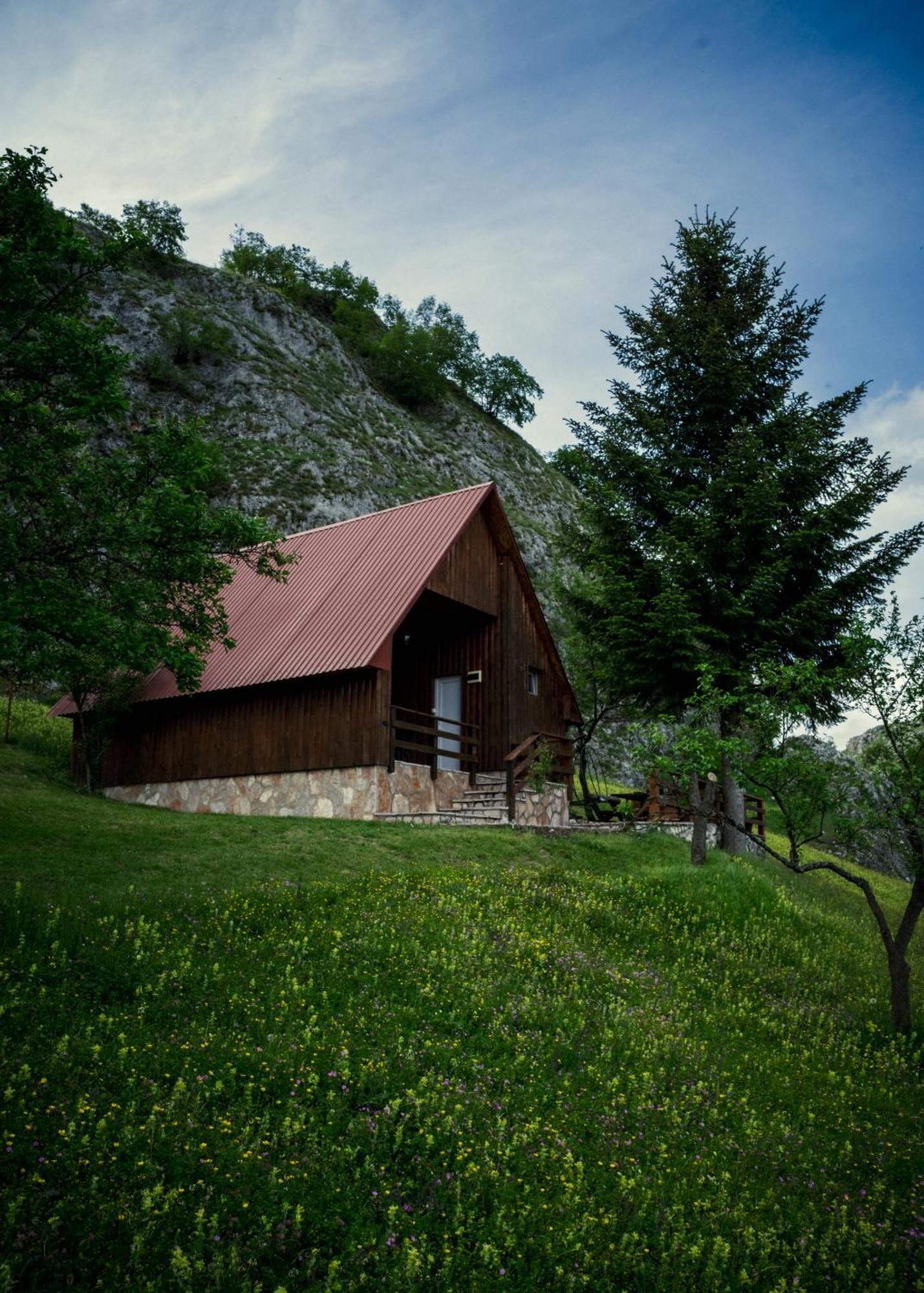 Отель Detached House Milivoje Poscenje Экстерьер фото
