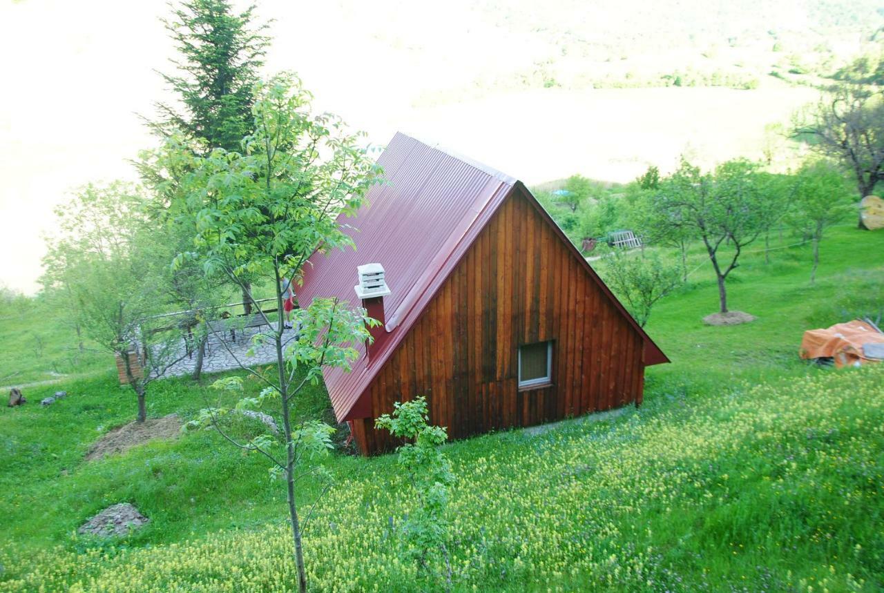 Отель Detached House Milivoje Poscenje Экстерьер фото